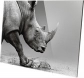 Neushoorn | 60 x 40 CM| Wanddecoratie | Dieren op plexiglas | Schilderij | Plexiglas | Schilderij op plexiglas