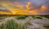 Fotobehang duinen en strand Schiermonnikoog 450 x 260 cm - € 295,--