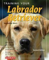 Training Your Dog Series - Training Your Labrador Retriever