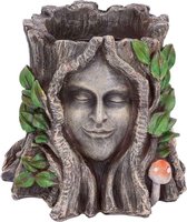 Oak Goddess - plantenpot