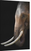 Aziatische olifant op zwarte achtergrond - Foto op Canvas - 60 x 90 cm