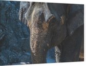 Aziatische olifant - Foto op Canvas - 90 x 60 cm