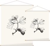 Gelderse Roos zwart-wit (Guelder Rose) - Foto op Textielposter - 60 x 80 cm