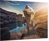 Dinosaurus T-Rex bij een meer - Foto op Plexiglas - 80 x 60 cm