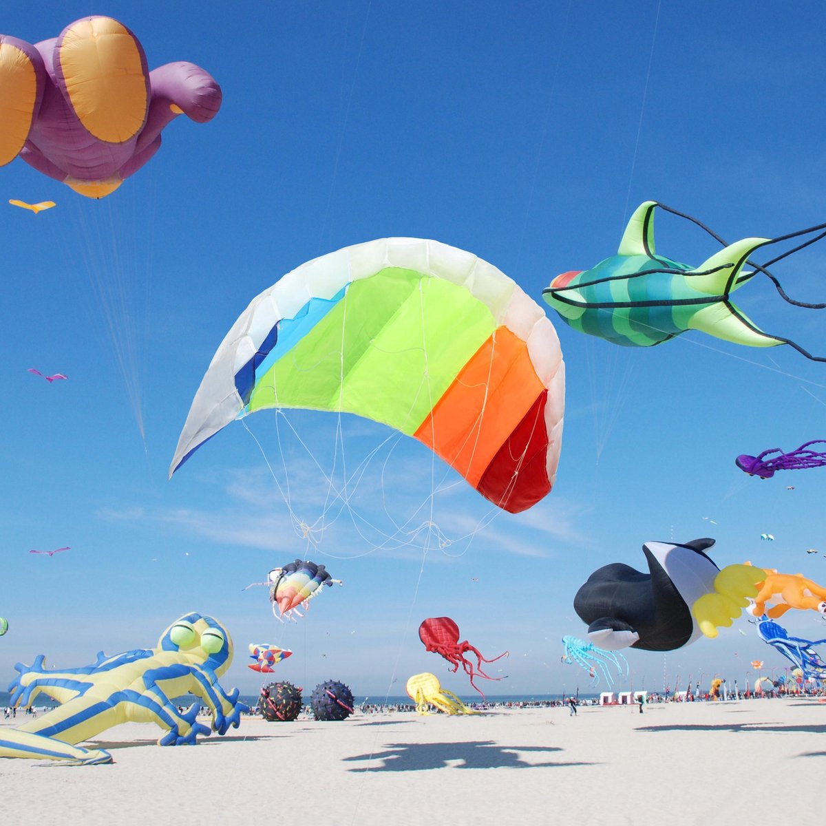 relaxdays Matrasvlieger 2 lijns - regenboog - rainbow - strandvlieger -  beginners - kite | bol.com