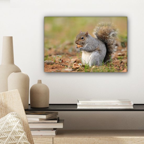 Tableau sur toile Écureuil avec cacahuète - 30x20 cm - Décoration murale