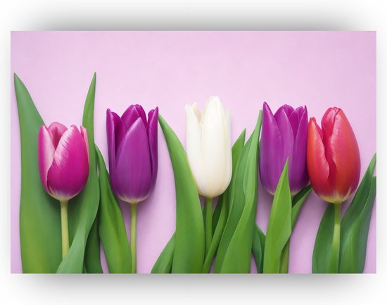 Vijf tulpen schilderij - Tulpen schilderij - Canvas schilderijen - Woonkamer accessoires - Schilderij tulpen canvas - Bloemen schilderij - 70 x 50 cm 18mm