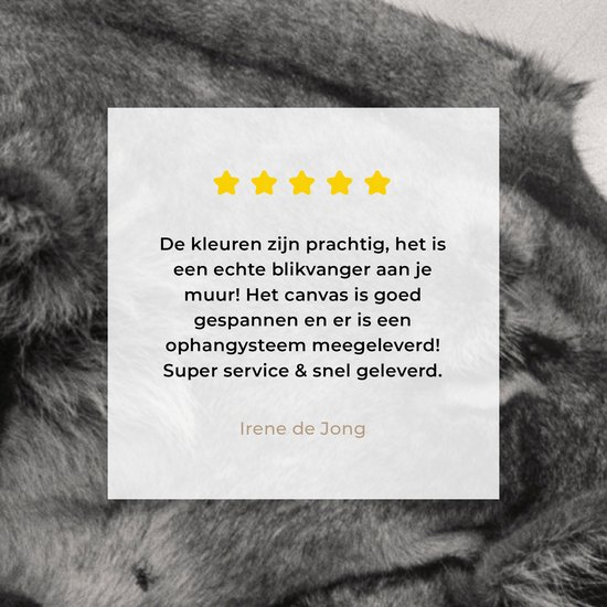 Tableau sur toile Lionne - Lionceau - Zwart - 60x90 cm - Décoration murale