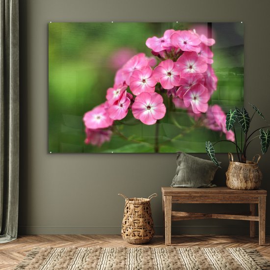 Fleurs flammes roses sur fond vert Plexiglas 180x120 cm - Tirage photo sur Glas (décoration murale plexiglas) XXL / Groot format!