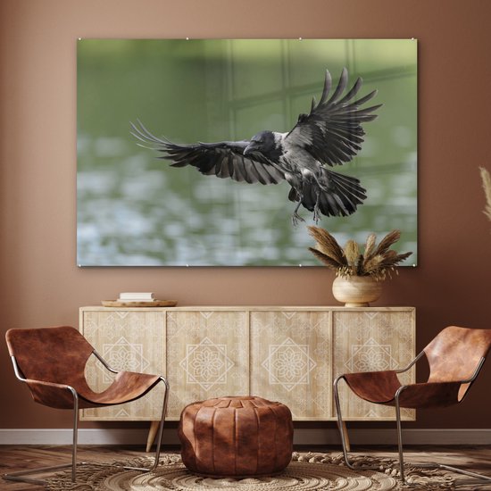 Ailes déployées du corbeau à capuchon Plexiglas 180x120 cm - Tirage photo sur Glas (décoration murale plexiglas) XXL / Groot format!