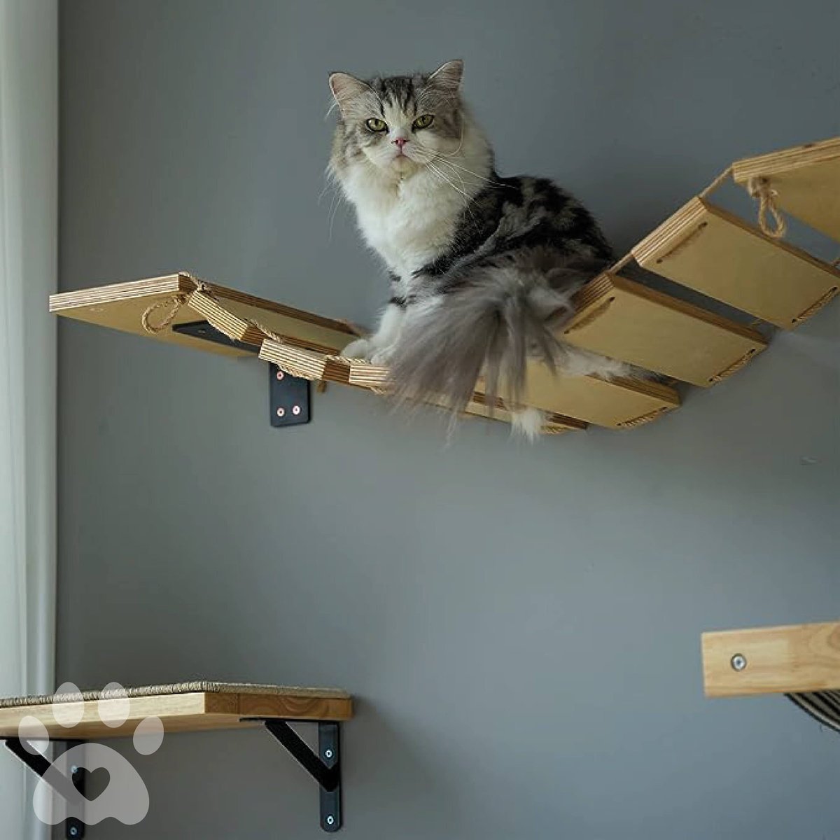 AZANO® Klimwand voor katten met 2 x kattentrap, muur, extra behaaglijk, krabpaal voor muur, kattenhangmat, kattenwand, klimmen, kattenwand, wandkrabpaal, kattenmeubel (donkergrijs