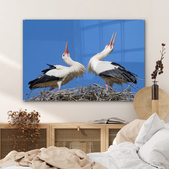 MuchoWow® Peinture sur verre 90x60 cm - Peinture sur verre acrylique - Belle image de deux cigognes dans leur nid - Photo sur verre - Peintures