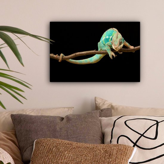 Gros plan sur toile caméléon panthère 2cm 30x20 cm - petit - tirage photo sur toile (Décoration murale salon / chambre)