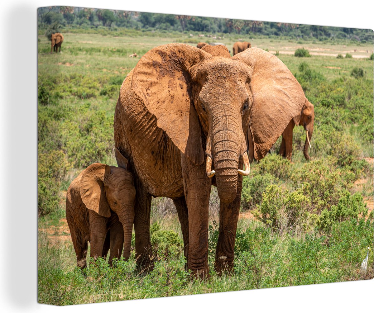 - Canvas - Olifanten - Olifant - Baby olifant - Grasvlakte - Muurdecoratie - 30x20 cm - Kamer decoratie