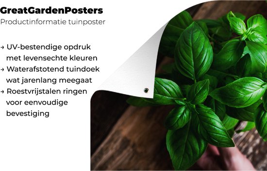 Tuinposters buiten Basilicum planten - 90x60 cm - Tuindoek - Buitenposter