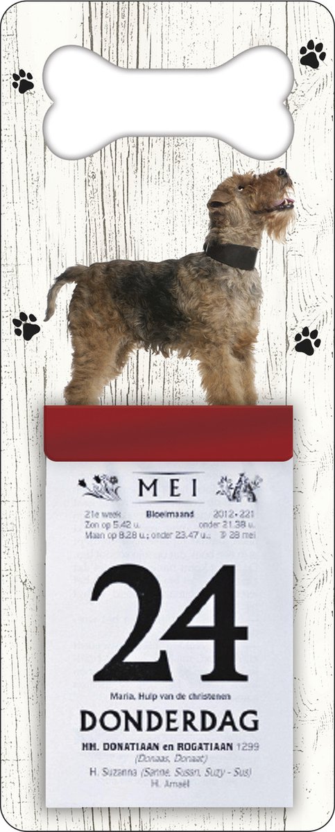 Scheurkalender 2026 Hond: Fox Terrier