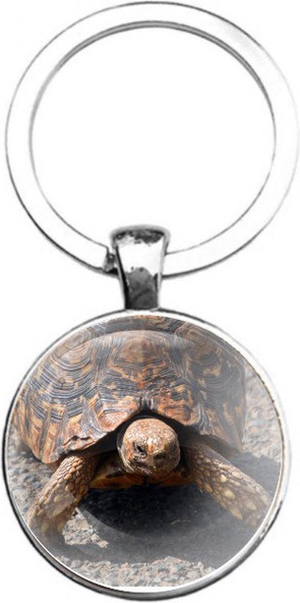 Sleutelhanger Glas - Schildpad