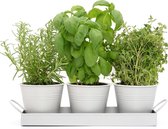 CKB LTD - Kruidenbak keuken - Bloempot kruiden plantenbak - Binnen - Plantenpotjes - Set van 3 - Wit - Kweekbak - Kruidenpot Verse kruiden