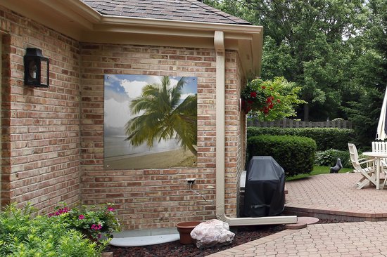 Affiche de jardin de palmiers sur la côte