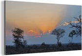 Wanddecoratie Metaal - Aluminium Schilderij Industrieel - Het landschap van het Krugerpark in Zuid-Afrika bij zonsondergang - 80x40 cm - Dibond - Foto op aluminium - Industriële muurdecoratie - Voor de woonkamer/slaapkamer