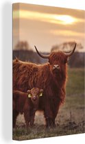 Canvas - Schilderij dieren - Schotse hooglander - Kalf - Koe - Zonsondergang - Natuur - Kamer decoratie - Schilderijen op canvas - Foto op canvas - 80x120 cm