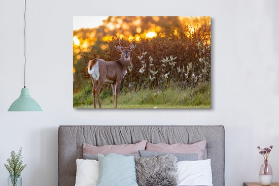 Canvas - Hert - Heide - Natuur - Zonsondergang - Schilderijen op canvas - Landschap - 150x100 cm - Canvas schilderij dieren - Foto op canvas