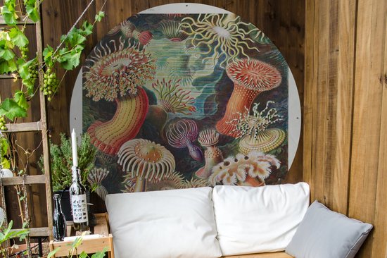 Garden Circle Ernst Haeckel - Anémone - Rétro - Nature - Plantes - Mer - 150x150 cm - Affiche Ronde de Jardin - Extérieur