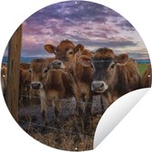 Tuincirkel Koe - Dieren - Koeien - 60x60 cm - Ronde Tuinposter - Buiten