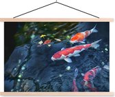 Affiche scolaire Quatre carpes koi dans un étang à lattes plates vierges 120x80 cm - Tirage photo sur affiche textielposter (décoration murale salon / chambre)
