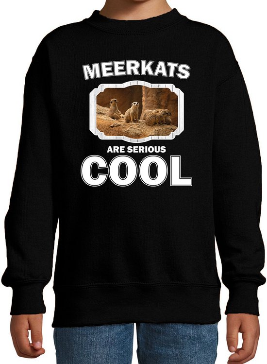 Dieren stokstaartjes sweater zwart kinderen - meerkats are serious cool trui jongens/ meisjes - cadeau stokstaartje/ stokstaartjes liefhebber - kinderkleding / kleding 152/164