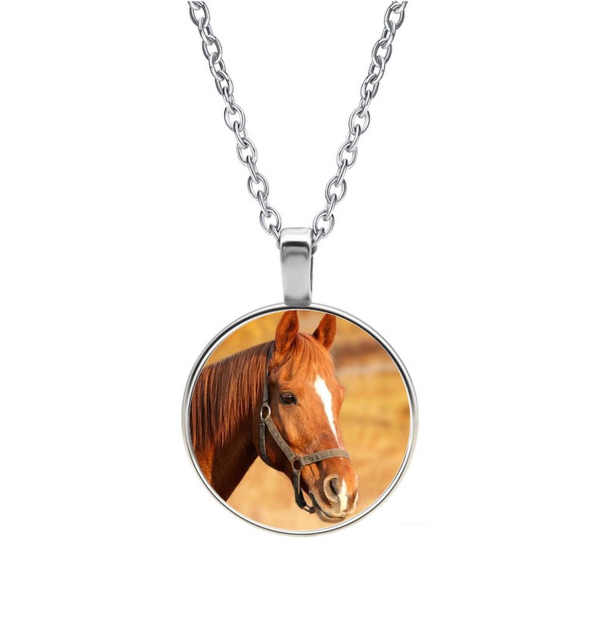Ketting Glas - Paard