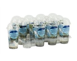 Moerings Drijfplanten mix | In Beker Small