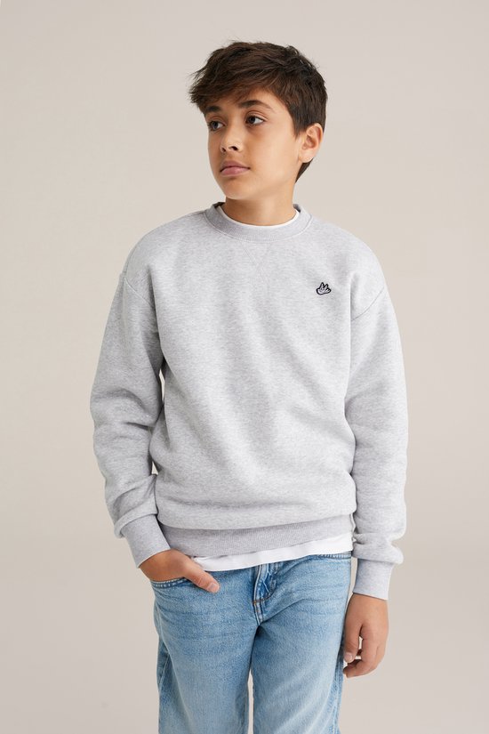 WE Fashion Jongens regular fit sweater