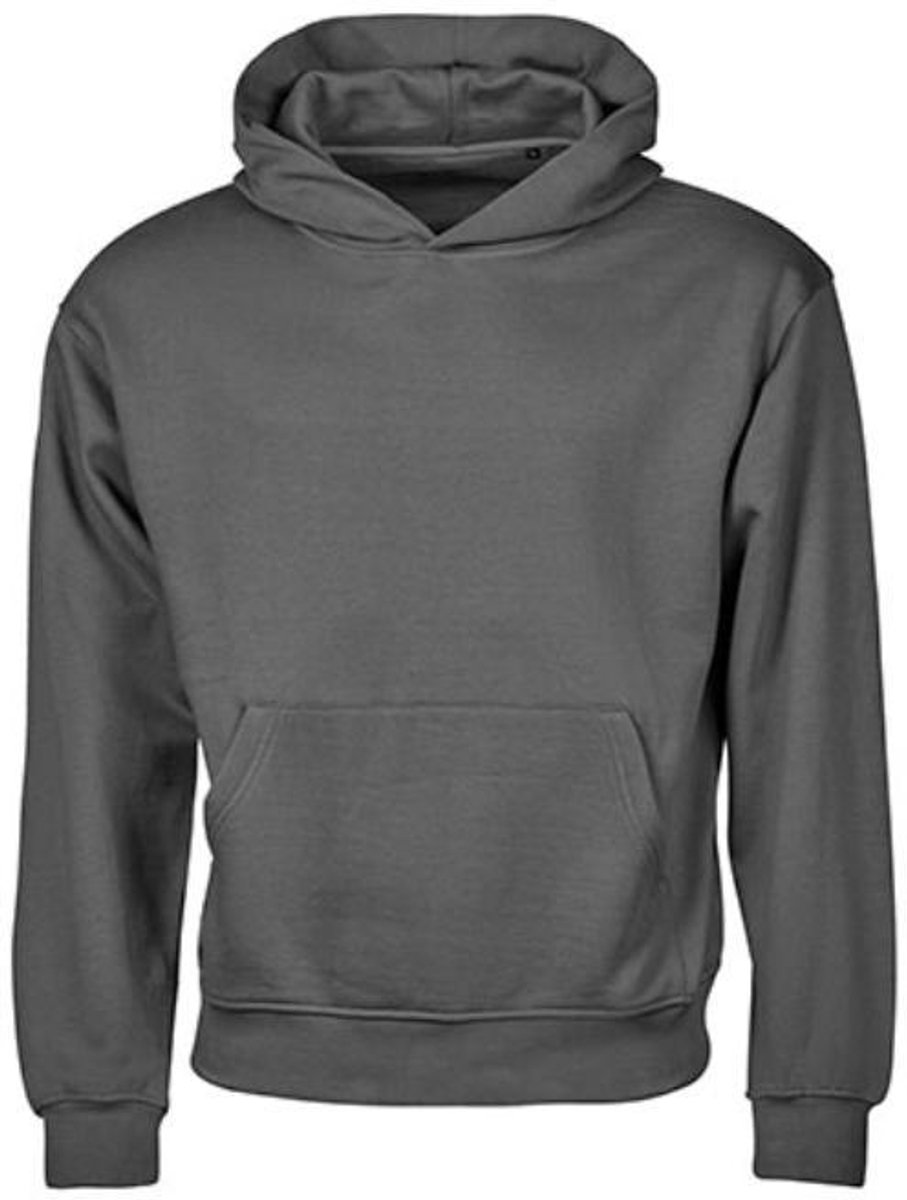 Tee Jays - Urban Heavy Loose Fit Hoodie - Powder Grey maat 3XL