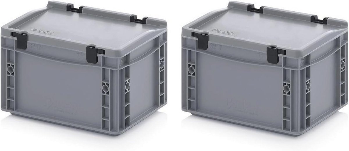 Eurocontainers 30 x 20 x 18,5 cm met scharnierdeksel en gratis duimstok set van 2