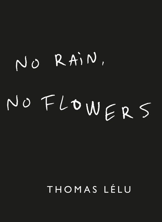 No Rain, No Flowers - cover