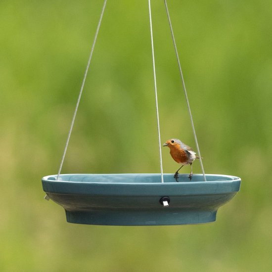 Blauw keramisch vogelbadje met roodborstje dat op de rand zit. Het badje hangt aan dunne staalkabels.
