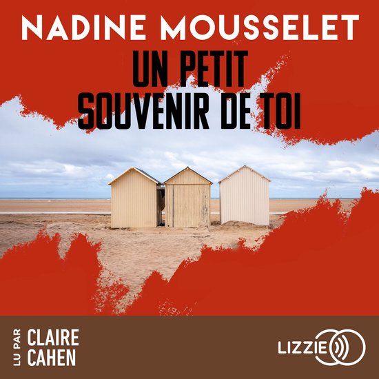 Un petit souvenir de toi - cover