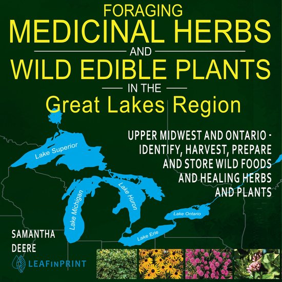Foraging Medicinal Herbs and Wild Edible Plants in the Great ... - cover