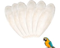 6 Stukken Sepiac Botten - Beige Sepia Vogels - Kauwspeelgoed - Voetbalsteen voor Vogels - Schildpadden - Slakken - Papegaaien - Grills - Duiven