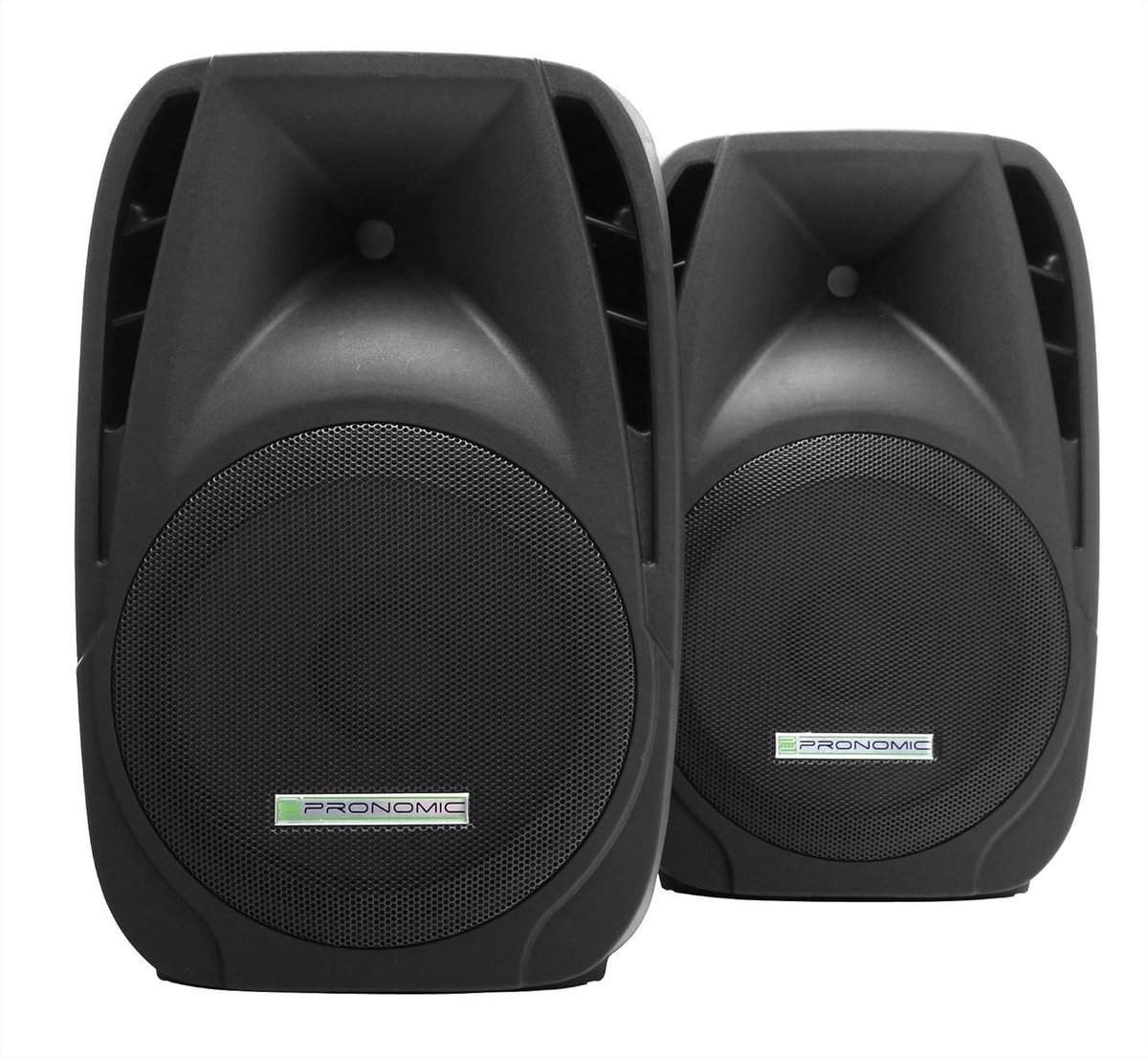 Krachtige Passieve PA-Luidsprekers 160/300 Watt Set van Twee