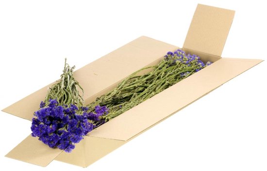 Fleurs séchées Natural Blauw Statice sinuata (1 paquet)