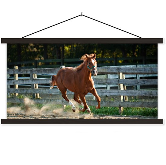 Porte-affiche avec affiche - Affiche scolaire - Cheval - Léger - Sable - 150x75 cm - Lattes noires