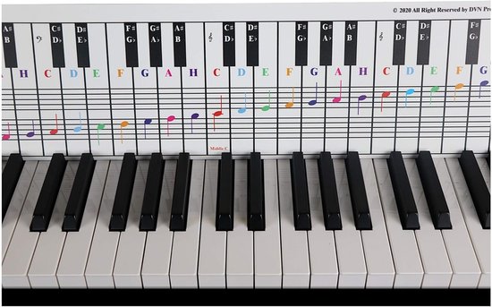 ciciglow Cartes Flash Musicales de 50 PCS, Cartes Flash Laminées Double