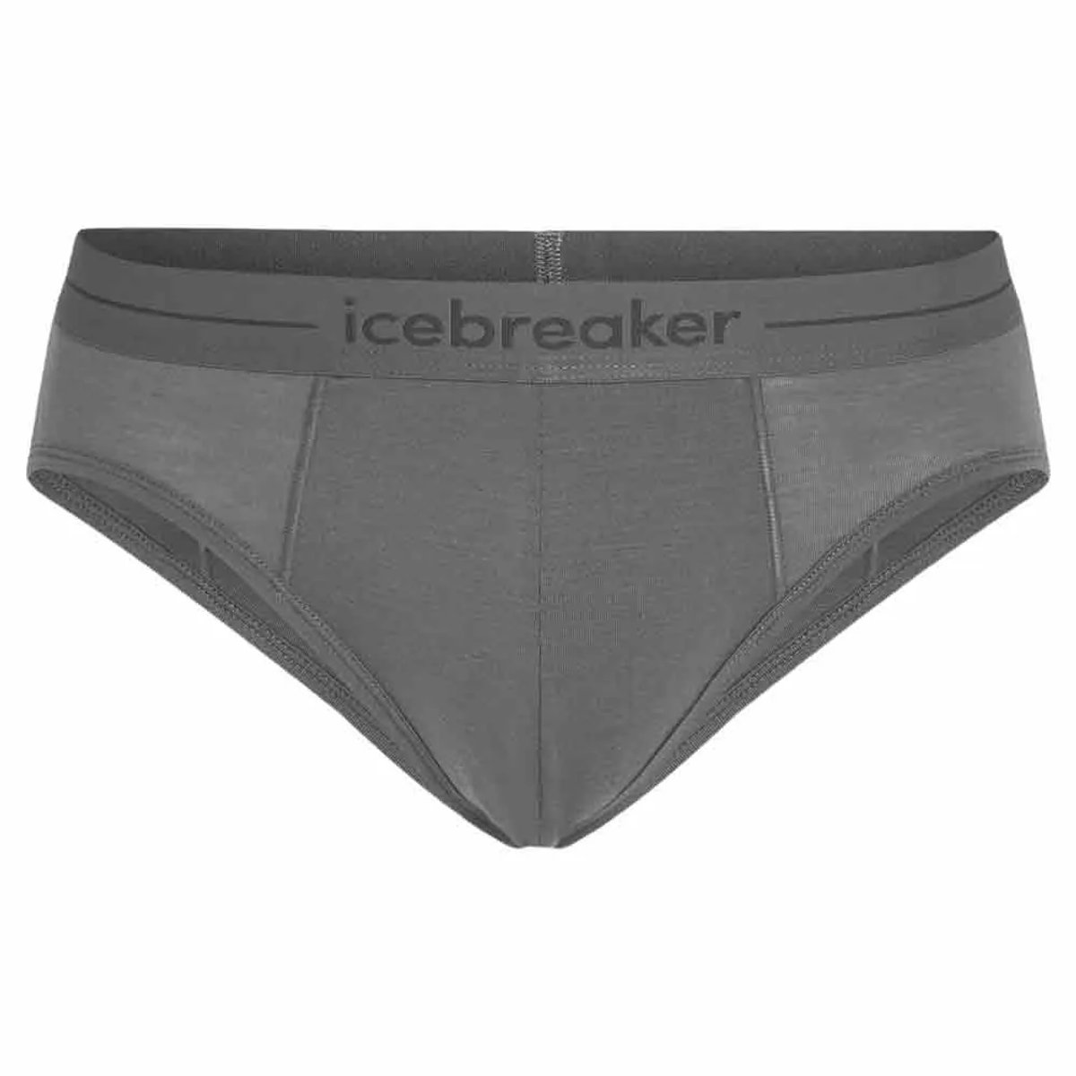 Icebreaker Merino 150 Anatomica Slips Grijs 2XL Man