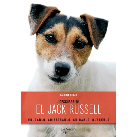 ¡Descúbrelo! El Jack Russell. Educarlo, adiestrarlo, cuida ... - cover