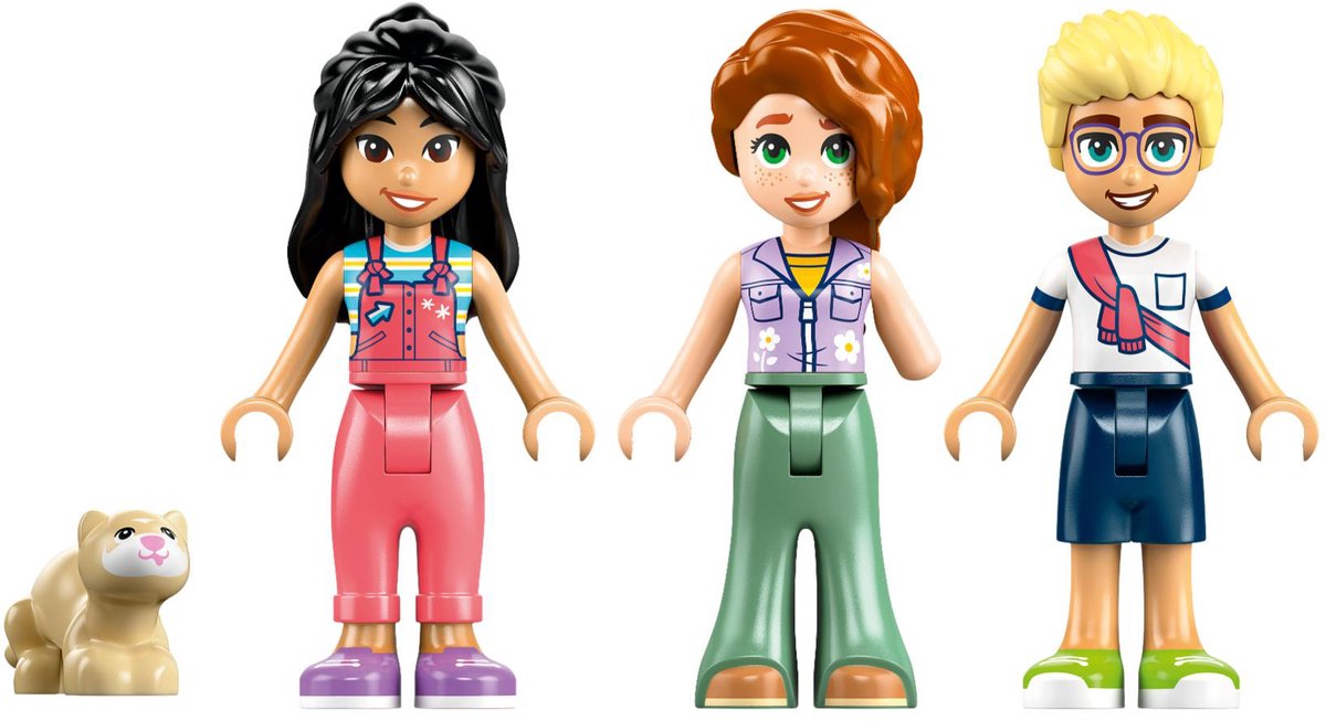 LEGO Friends Camperavontuur met vrienden - 42663 — afbeelding 6