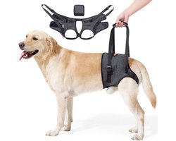Hondentuig voor oudere honden, hulptuig, stressvermindering en ondersteuning bij het lopen voor geblesseerde honden, achterpoottuig, donkergrijs, maat L, tailleomtrek 50-62 cm, aanbevolen gewicht 36-52 kg.