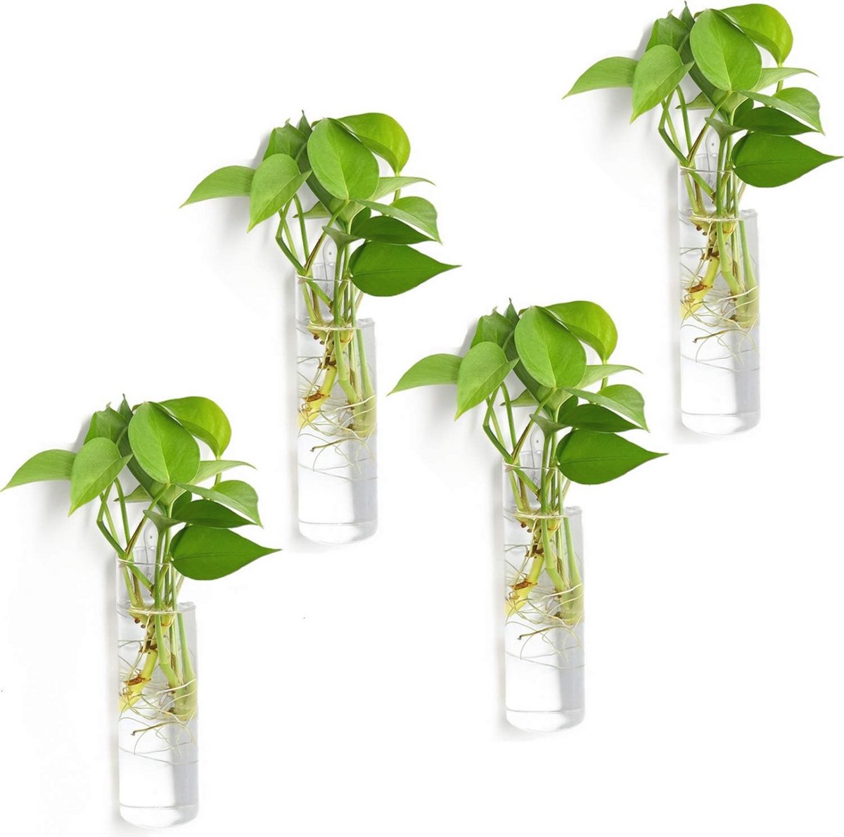 Hanging Glass Planters - Set of 4, Wall-mounted Terrarium Vases for Hydroponics & Home Decor