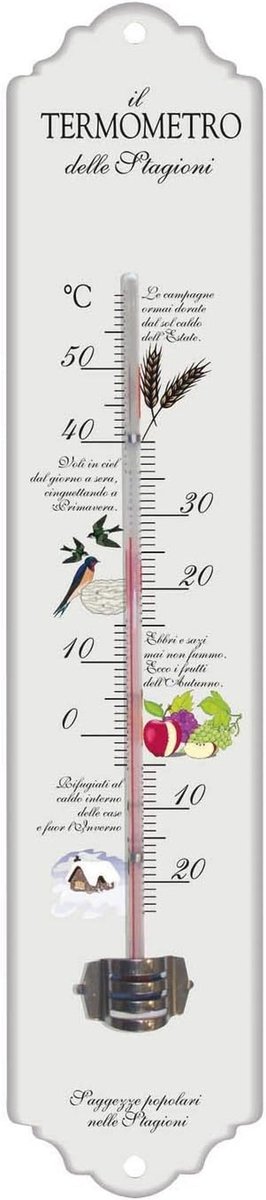 Metalen Thermometer 30cm met Kleurige Afbeelding